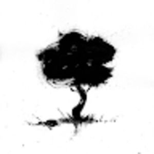 Meet your Posher, Kris